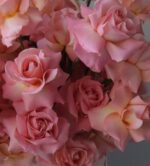 45 роза HERMOSA в корзине